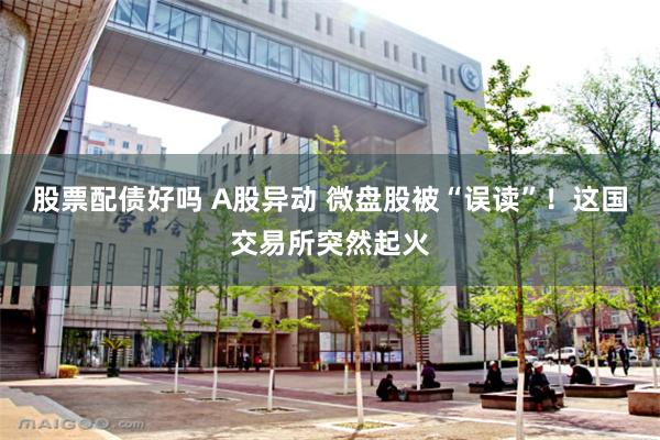 股票配债好吗 A股异动 微盘股被“误读”！这国交易所突然起火