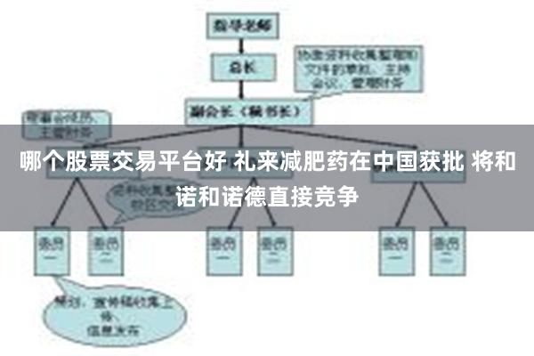 哪个股票交易平台好 礼来减肥药在中国获批 将和诺和诺德直接竞争