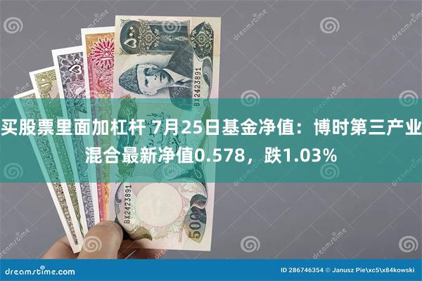 买股票里面加杠杆 7月25日基金净值：博时第三产业混合最新净值0.578，跌1.03%