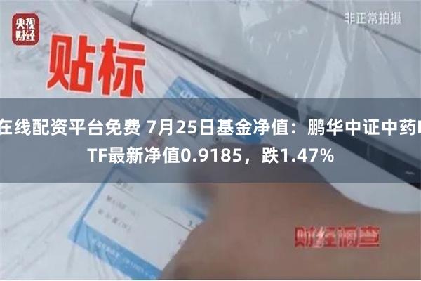 在线配资平台免费 7月25日基金净值：鹏华中证中药ETF最新净值0.9185，跌1.47%