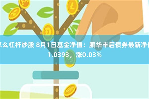 怎么杠杆炒股 8月1日基金净值：鹏华丰启债券最新净值1.0393，涨0.03%