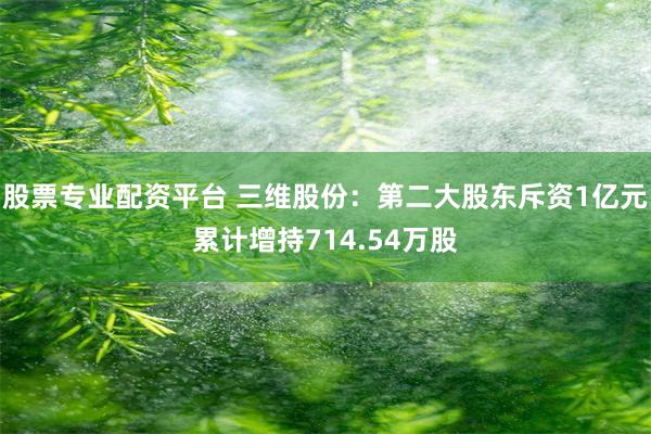 股票专业配资平台 三维股份：第二大股东斥资1亿元累计增持714.54万股