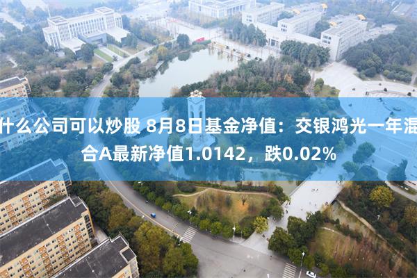 什么公司可以炒股 8月8日基金净值：交银鸿光一年混合A最新净值1.0142，跌0.02%