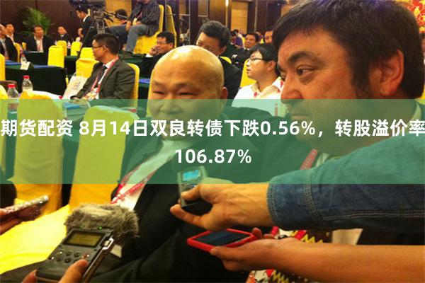 期货配资 8月14日双良转债下跌0.56%，转股溢价率106.87%