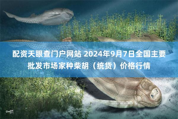 配资天眼查门户网站 2024年9月7日全国主要批发市场家种柴胡（统货）价格行情