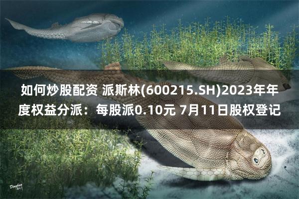 如何炒股配资 派斯林(600215.SH)2023年年度权益分派：每股派0.10元 7月11日股权登记