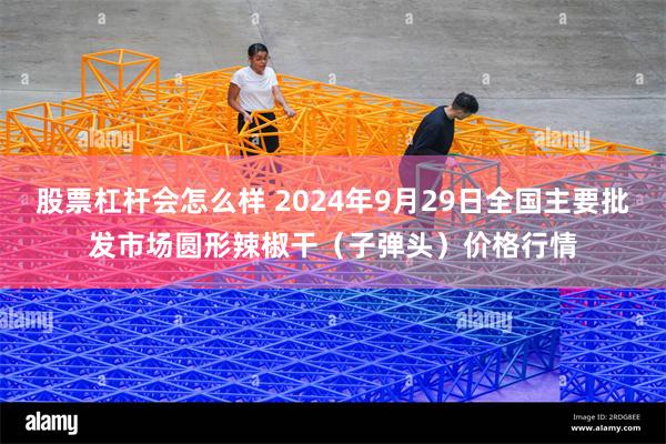 股票杠杆会怎么样 2024年9月29日全国主要批发市场圆形辣椒干（子弹头）价格行情