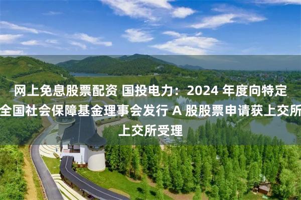 网上免息股票配资 国投电力：2024 年度向特定对象全国社会保障基金理事会发行 A 股股票申请获上交所受理