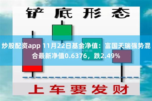 炒股配资app 11月22日基金净值：富国天瑞强势混合最新净值0.6376，跌2.49%