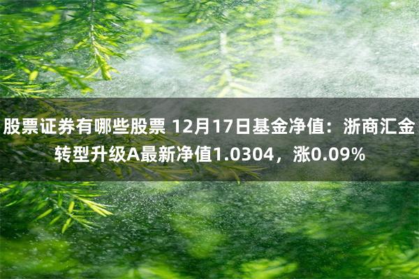 股票证券有哪些股票 12月17日基金净值：浙商汇金转型升级A最新净值1.0304，涨0.09%