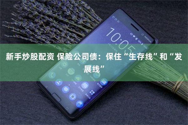 新手炒股配资 保险公司债：保住“生存线”和“发展线”